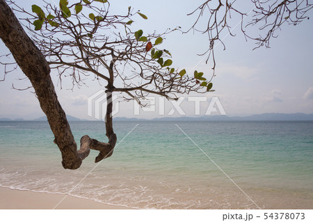Tropical beach at Andaman sea,Thailand Tropical beach at Andaman sea,Thailand 54378073