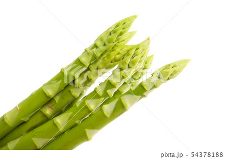 asparagus isolated 54378188