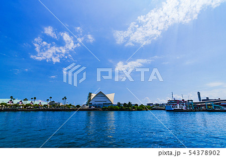 [鹿児島のイメージ][交通イメージ] 快晴の鹿児島港と桜島フェリーターミナルの風景 54378902
