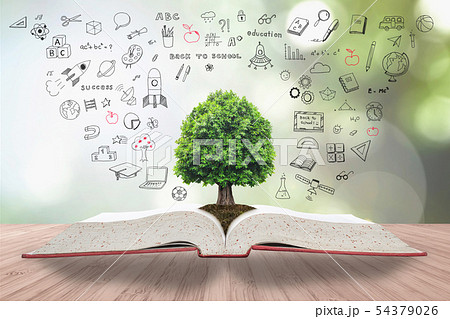 Tree of knowledge and life growing on textbook 54379026