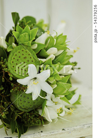 蓮の実のグリーンブーケ 54379256