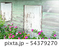 Flowers in front of old wooden front door and 54379270