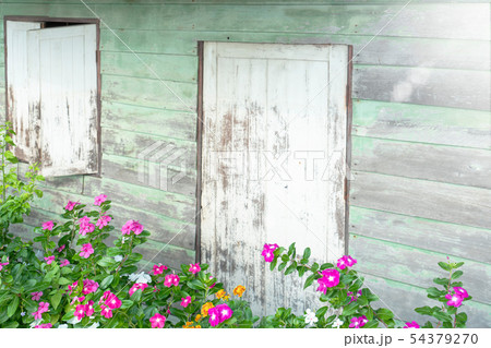 Flowers in front of old wooden front door and Flowers in front of old wooden front door and 54379270
