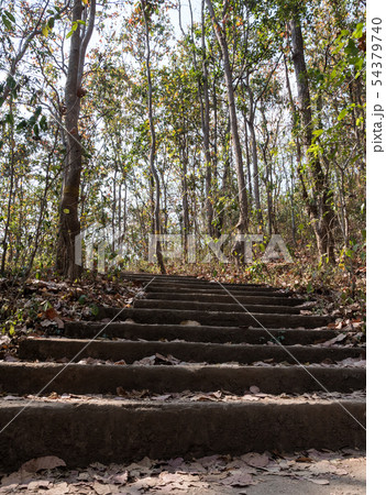 Concrete staircase of the natural trail. Concrete staircase of the natural trail. 54379740