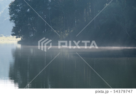 Light fog is floating form the water surface. 54379747