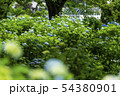 笹野観音 54380901