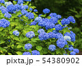 笹野観音 54380902