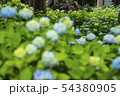 笹野観音 54380905