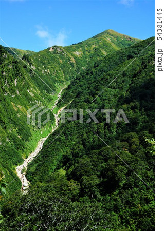 巻機山麓からの割引岳 巻機山麓からの割引岳 54381445