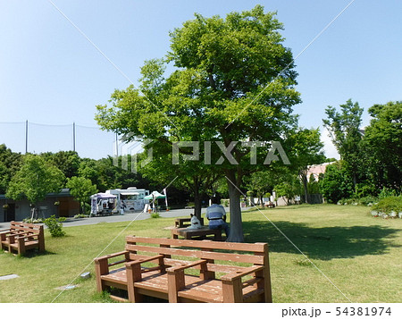 公園のベンチで涼む人と犬 公園のベンチで涼む人と犬 54381974