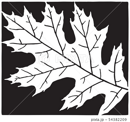 Leaf Leaf 54382209