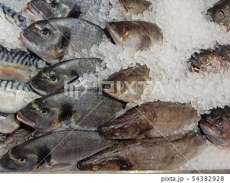 Fresh sea bream fish lies on ice Fresh sea bream fish lies on ice 54382928