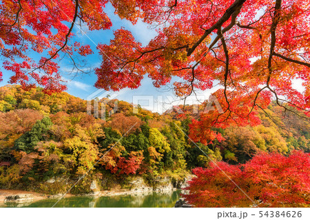 長瀞 秋の紅葉 長瀞 秋の紅葉 54384626
