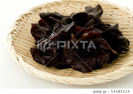 生きくらげ 54385514
