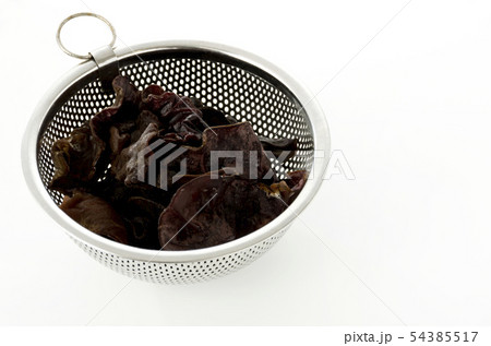 生きくらげ 54385517