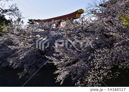 琵琶湖疎水（岡崎疎水）十石舟めぐり 54386527