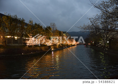 琵琶湖疎水（岡崎疎水）十石舟めぐり 54386621