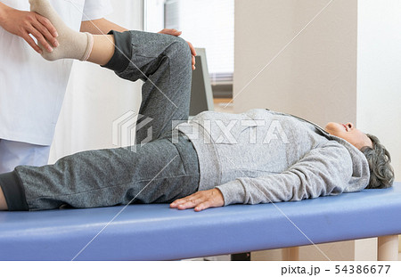 整形外科 54386677