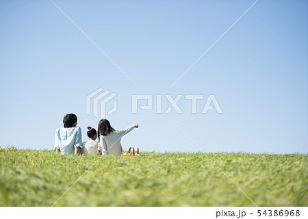 草原でピクニックをするファミリーの後ろ姿 54386968