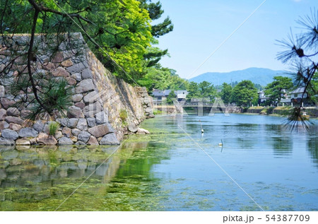 松江城 水堀と石垣 54387709