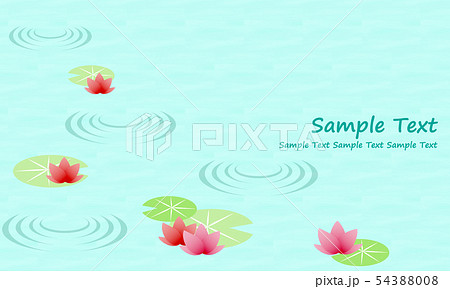 水面に浮かぶ蓮の花のイラストのイラスト素材