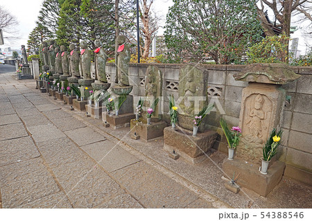 愛染院 愛染院 54388546