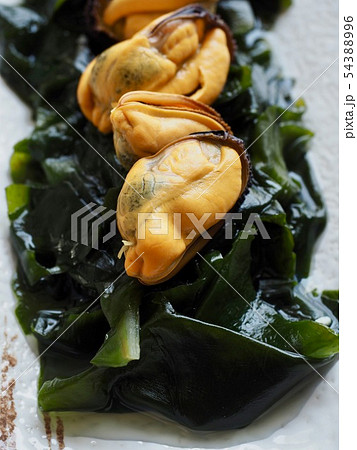 ムール貝 ワカメ 食べ物 54388996