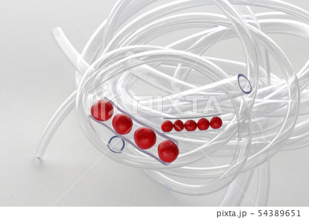 透明なビニールの管を使った血管と血液のモデル 透明なビニールの管を使った血管と血液のモデル 54389651