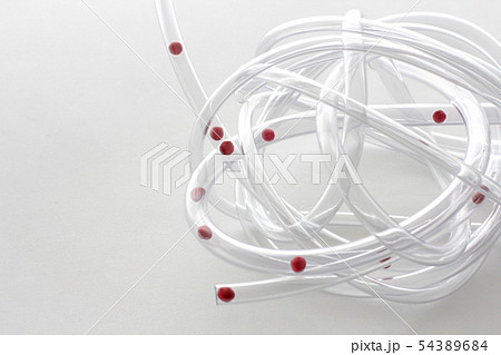 透明なビニールの管を使った血管と血液のモデル 54389684