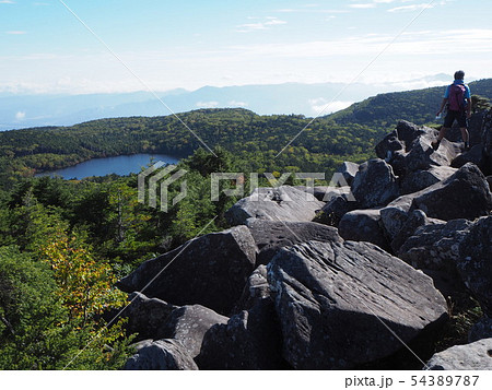 高見石展望台から見た白駒池 54389787