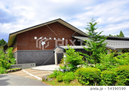 箱根やすらぎの森　森のふれあい館と新緑 54390590