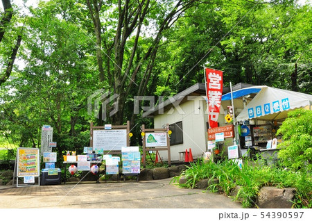 横浜市こども自然公園バーベキュー広場入口の売店と新緑 54390597