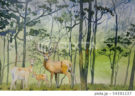 Paintings watercolor landscape of animal, deer Paintings watercolor landscape of animal, deer 54391137