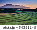 牧草地から望む早朝の蒜山三座 54391148