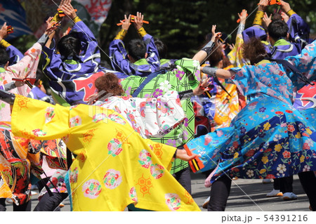 YOSAKOIソーラン祭り 54391216