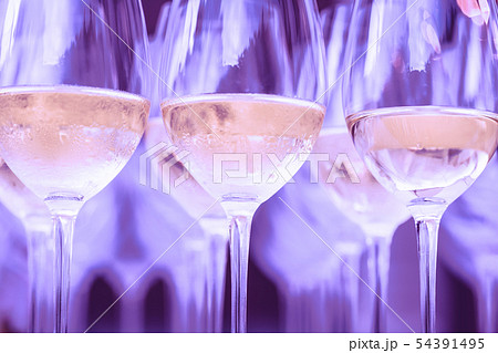 Rows of cold white or rose wine in purple light Rows of cold white or rose wine in purple light 54391495