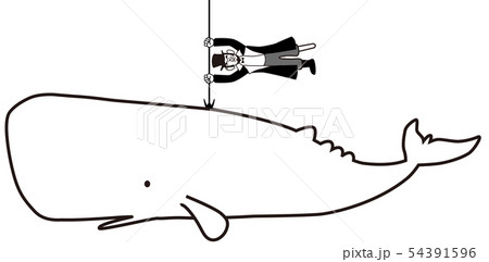 白鯨 白鯨 54391596