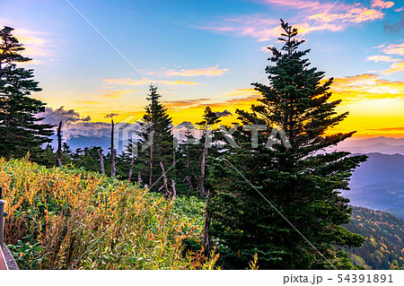 秋の渋峠　朝焼け 【群馬県】 54391891