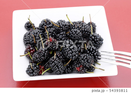 桑の実　マルベリー 54393811