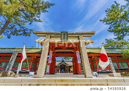 大阪　住吉大社　角鳥居と幸壽門　　 54393926