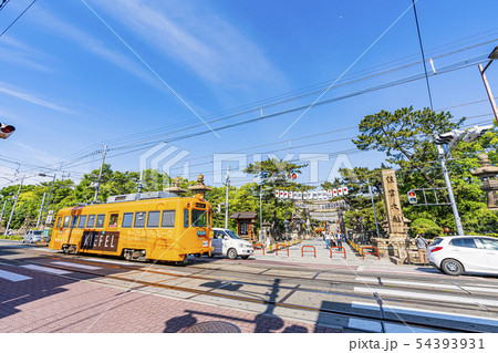 大阪　住吉大社と阪堺電車　 54393931