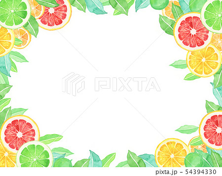 水彩 柑橘系フルーツの爽やかなフレームのイラスト素材