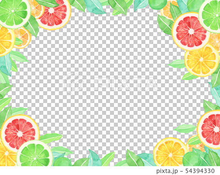 水彩 柑橘系フルーツの爽やかなフレームのイラスト素材