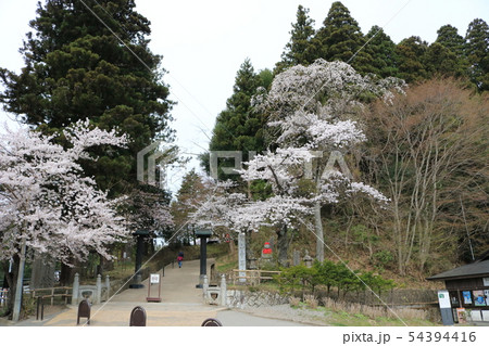 中尊寺、表参道入口 中尊寺、表参道入口 54394416