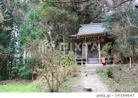 中尊寺境内、八幡堂 中尊寺境内、八幡堂 54394647