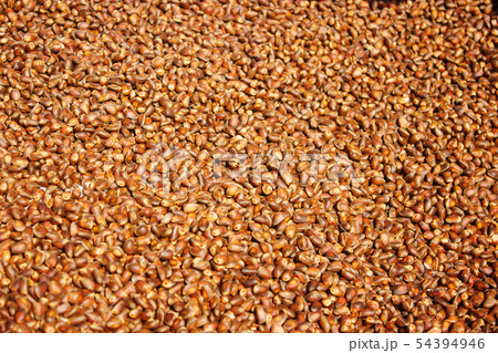unpeeled pine nuts unpeeled pine nuts 54394946