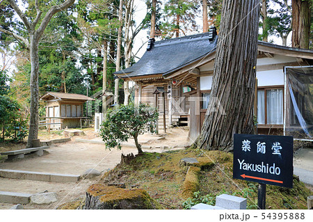 中尊寺、薬師堂 中尊寺、薬師堂 54395888