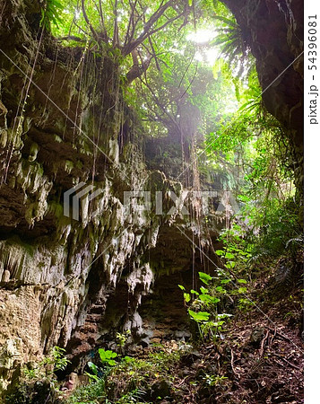 【ヤジャーガマ洞窟の神秘的風景】久米島観光・遺跡スポット@沖縄県島尻郡久米島町 【ヤジャーガマ洞窟の神秘的風景】久米島観光・遺跡スポット@沖縄県島尻郡久米島町 54396081