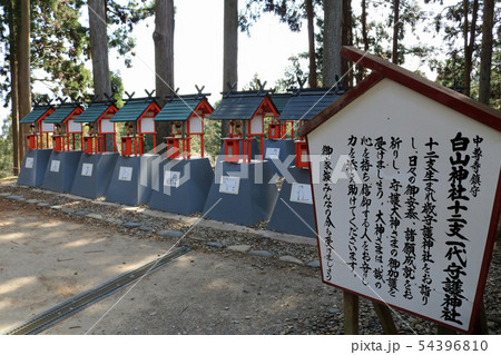 中尊寺鎮守 白山神社十二支一代守護神社 54396810