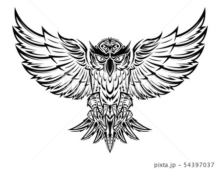 Flying owl black and white Flying owl with open burning wings looking deep  with a sharp gaze black and white tattoo front  CanStock